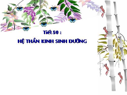 Bài 48. Hệ thần kinh sinh dưỡng