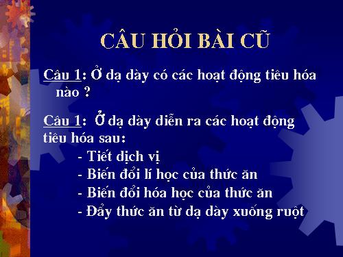 Bài 28. Tiêu hóa ở ruột non