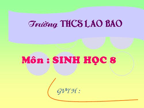 Bài 51. Cơ quan phân tích thính giác