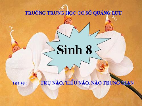 Bài 46. Trụ não. Tiểu não. Não trung gian