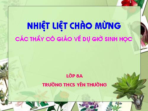 Bài 27. Tiêu hóa ở dạ dày