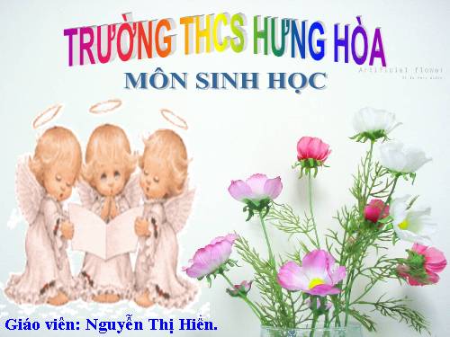 Bài 56. Tuyến yên, tuyến giáp