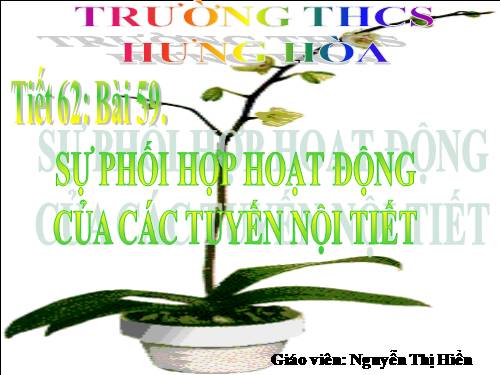 Bài 59. Sự điều hòa và phối hợp hoạt động của các tuyến nội tiết