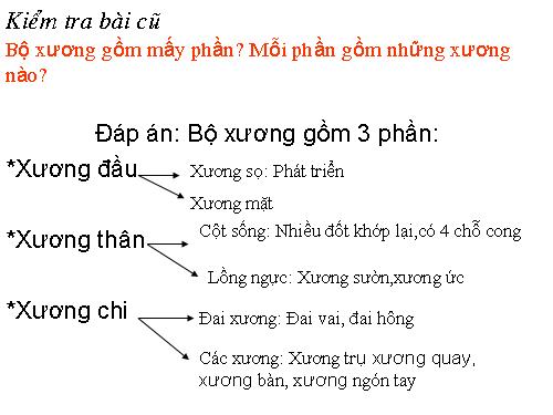 Bài 8. Cấu tạo và tính chất của xương