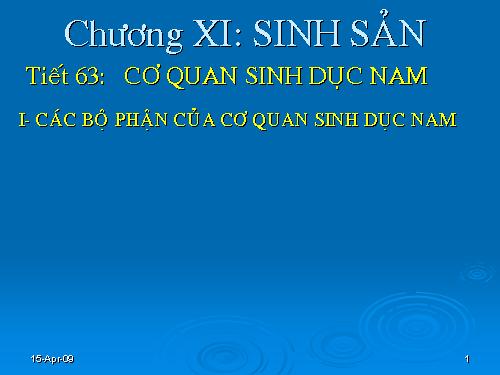 Bài 60. Cơ quan sinh dục nam