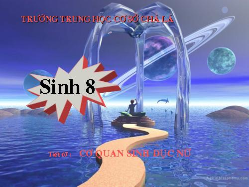 Bài 61. Cơ quan sinh dục nữ