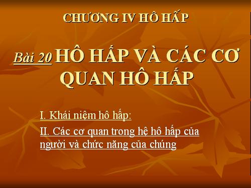 Bài 20. Hô hấp và các cơ quan hô hấp