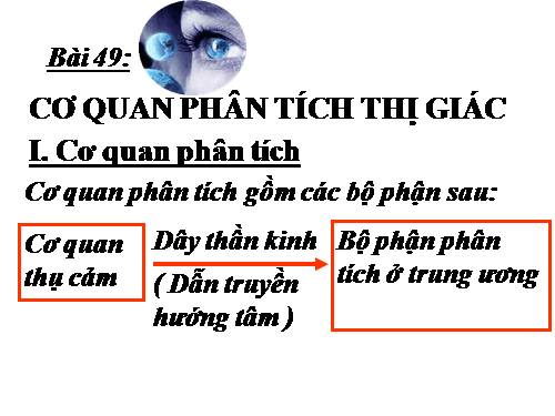 Bài 49. Cơ quan phân tích thị giác