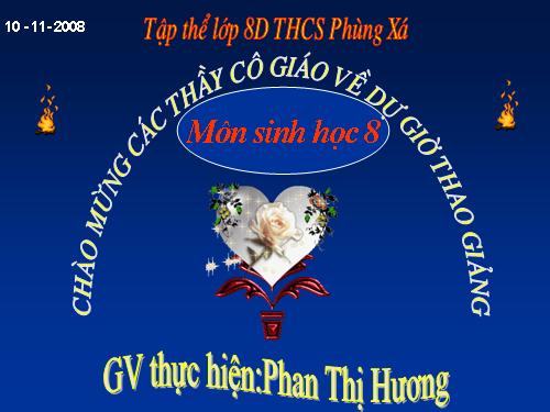 Bài 20. Hô hấp và các cơ quan hô hấp