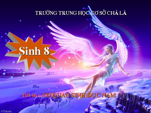 Bài 60. Cơ quan sinh dục nam