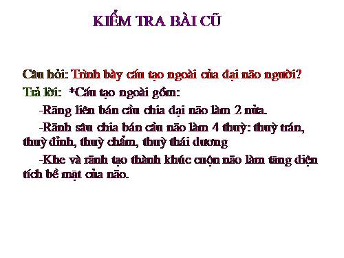 Bài 48. Hệ thần kinh sinh dưỡng