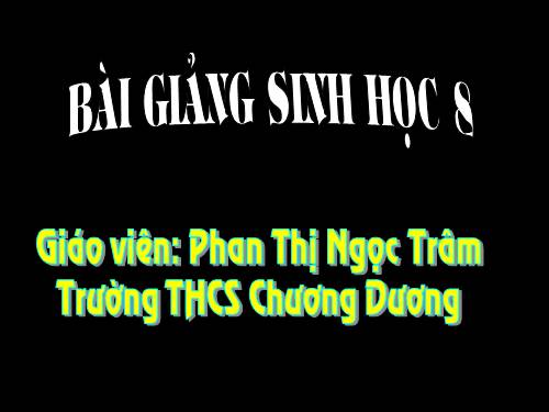 Bài 49. Cơ quan phân tích thị giác