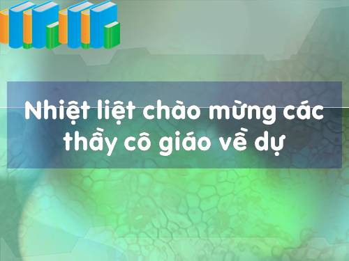 Bài 47. Đại não
