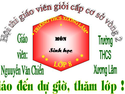 Bài 34. Vitamin và muối khoáng