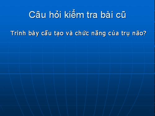 Bài 47. Đại não