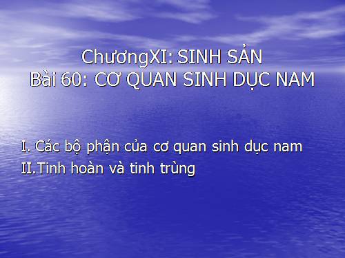 Bài 60. Cơ quan sinh dục nam