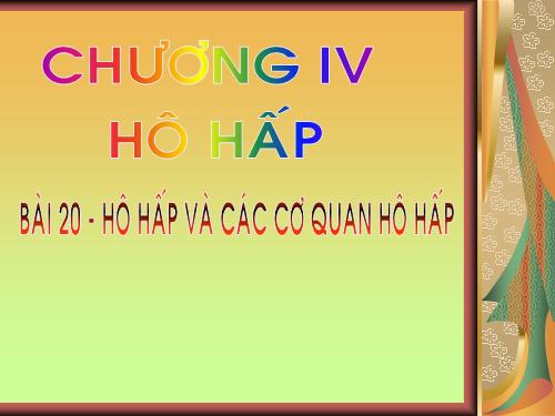 Bài 20. Hô hấp và các cơ quan hô hấp