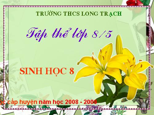 Bài 53. Hoạt động thần kinh cấp cao ở người