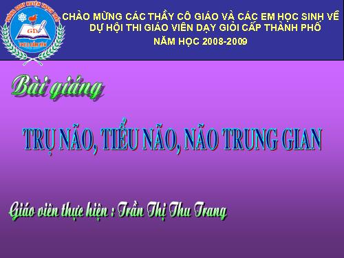 Bài 46. Trụ não. Tiểu não. Não trung gian