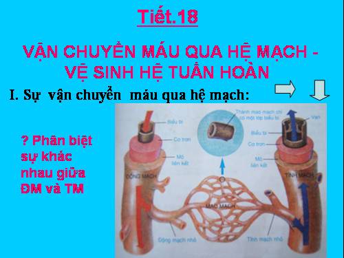 Bài 18. Vận chuyển máu qua hệ mạch. Vệ sinh hệ tuần hoàn