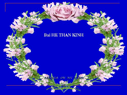 Bài 48. Hệ thần kinh sinh dưỡng