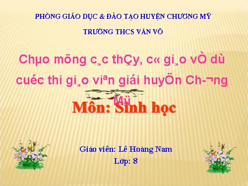 Bài 27. Tiêu hóa ở dạ dày