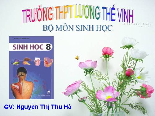 Bài 56. Tuyến yên, tuyến giáp