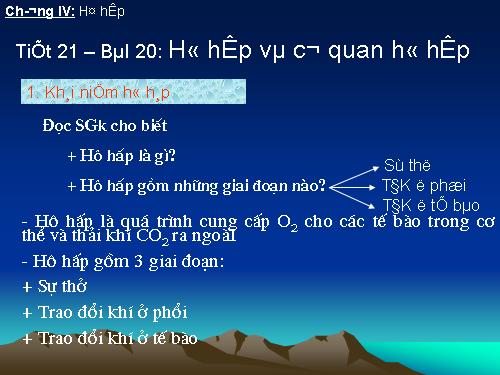 Bài 20. Hô hấp và các cơ quan hô hấp