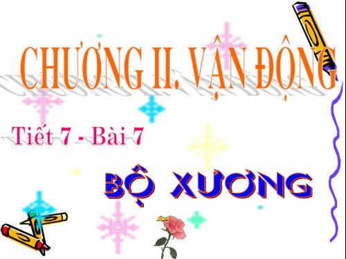 Bài 7. Bộ xương