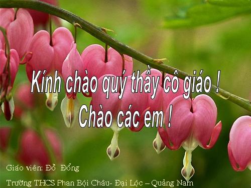 Bài 51. Cơ quan phân tích thính giác