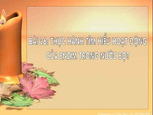 Bài 26. Thực hành: Tìm hiểu hoạt động của enzim trong nước bọt