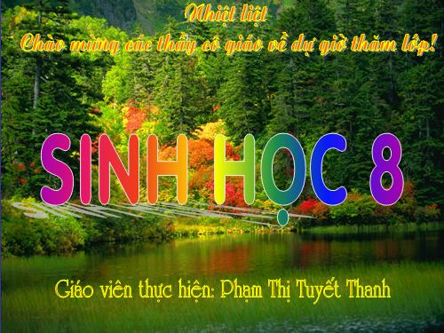 Bài 18. Vận chuyển máu qua hệ mạch. Vệ sinh hệ tuần hoàn