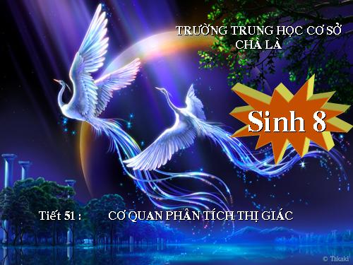 Bài 49. Cơ quan phân tích thị giác