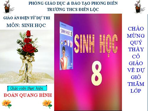 Bài 17. Tim và mạch máu