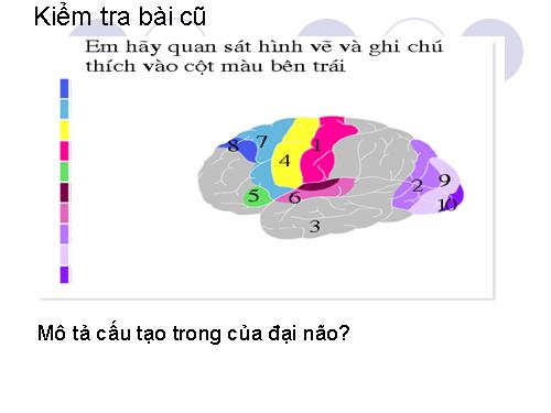 Bài 48. Hệ thần kinh sinh dưỡng