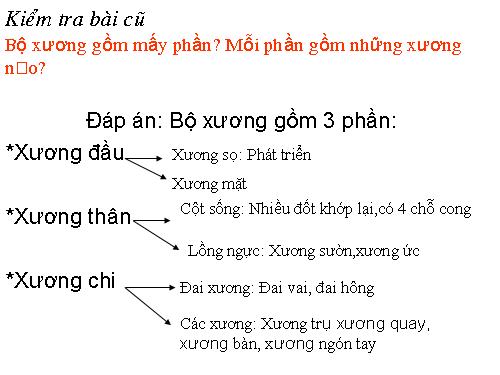 Bài 8. Cấu tạo và tính chất của xương