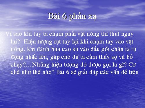 Bài 6. Phản xạ