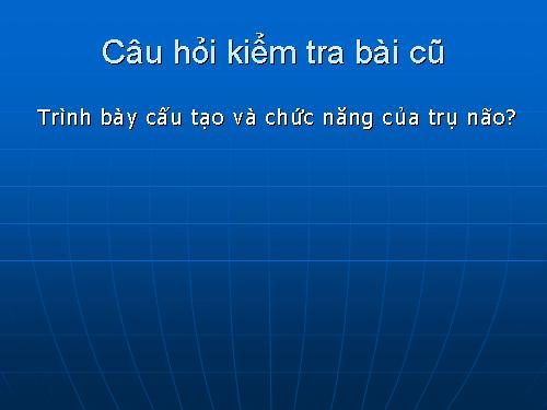 Bài 47. Đại não