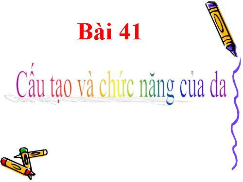 Bài 41. Cấu tạo và chức năng của da