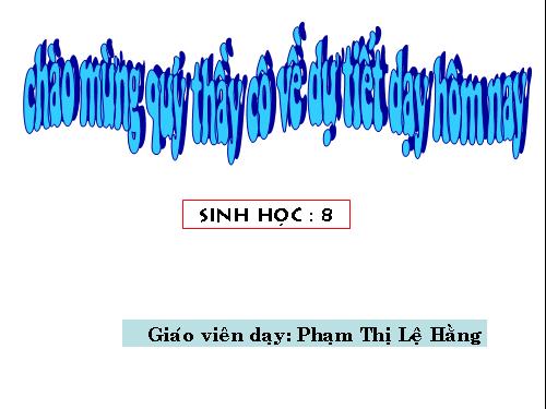 Bài 46. Trụ não. Tiểu não. Não trung gian