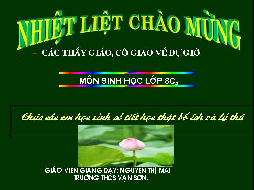 Bài 30. Vệ sinh tiêu hóa