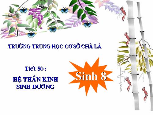 Bài 48. Hệ thần kinh sinh dưỡng