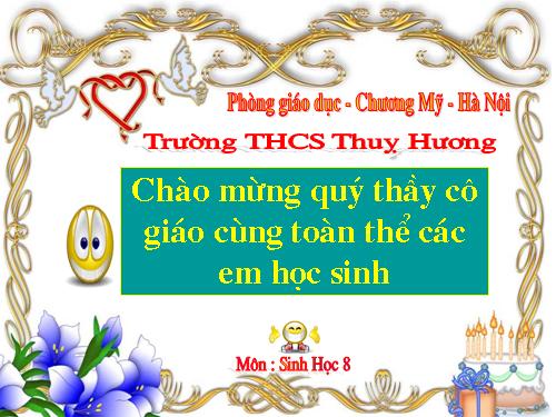 Bài 27. Tiêu hóa ở dạ dày