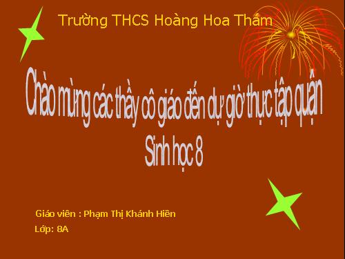 Bài 21. Hoạt động hô hấp