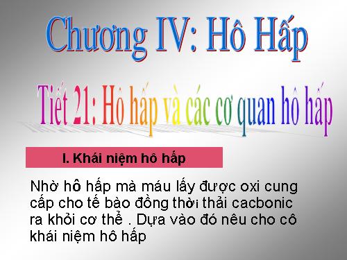 Bài 20. Hô hấp và các cơ quan hô hấp