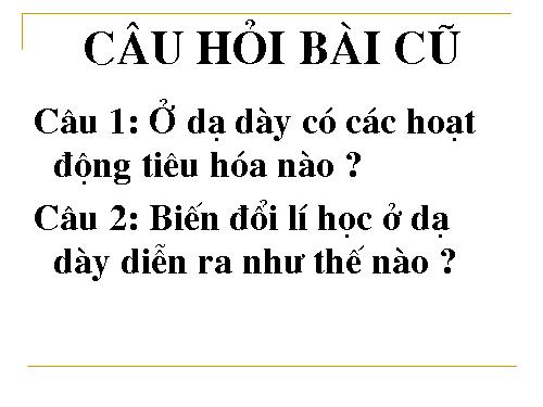 Bài 28. Tiêu hóa ở ruột non