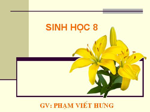 Bài 6. Phản xạ