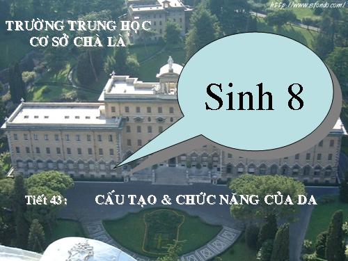 Bài 41. Cấu tạo và chức năng của da