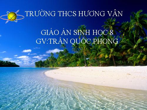 Bài 38. Bài tiết và cấu tạo hệ bài tiết nước tiểu