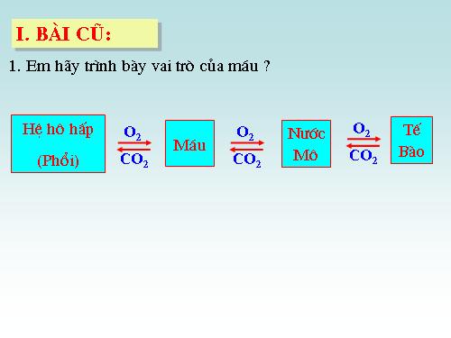 Bài 20. Hô hấp và các cơ quan hô hấp